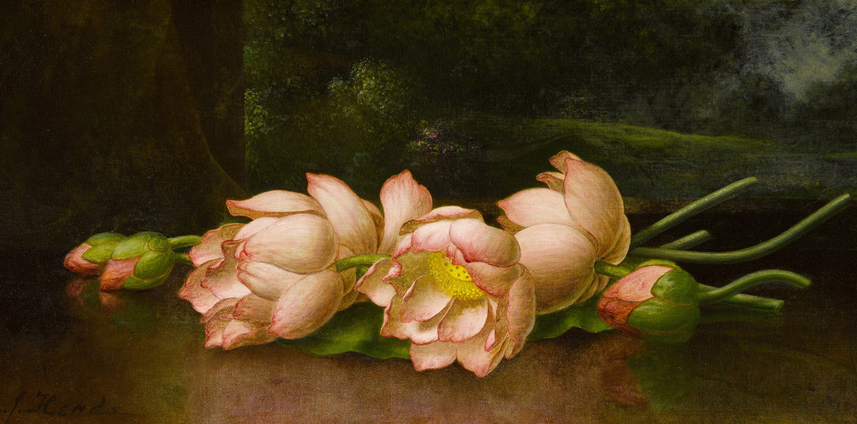 Martin Johnson Heade - Lotus Flowers