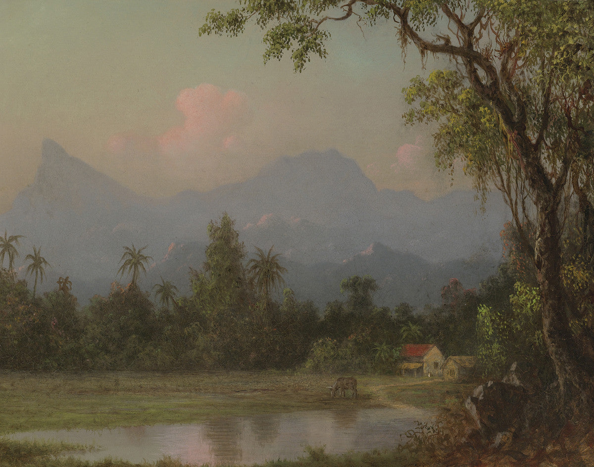 Martin Johnson Heade - South American Scene with a Cabin