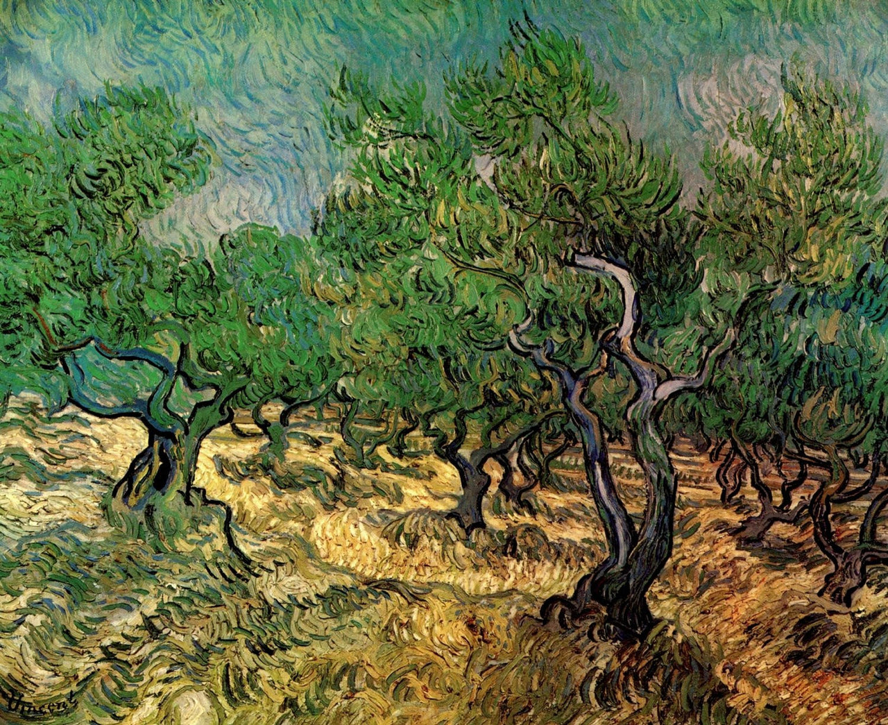 Vincent van Gogh - Olive Grove