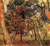 Vincent van Gogh - Study of Pine Trees