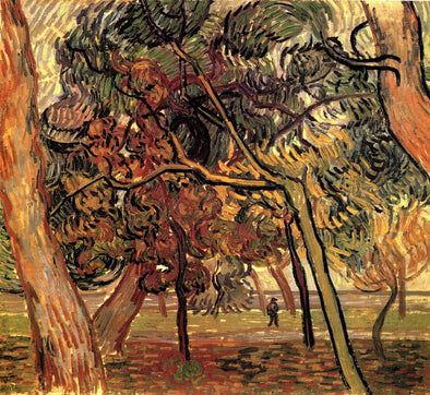 Vincent van Gogh - Study of Pine Trees