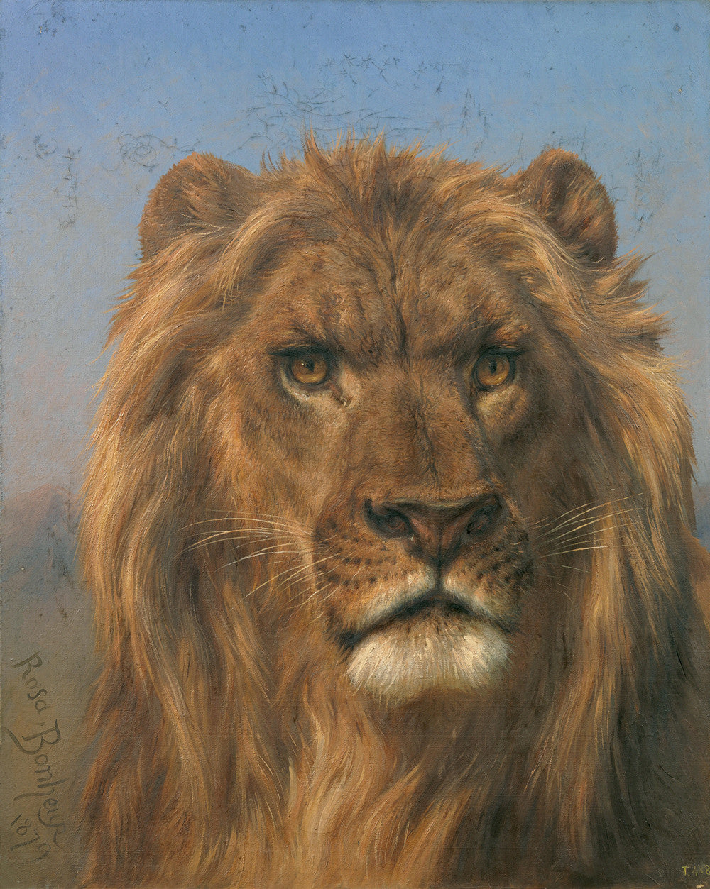 Rosa Bonheur - Portrait of a Lion-Reproduction-Get Custom Art