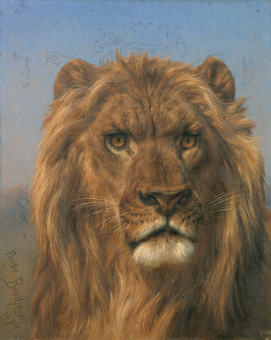 Rosa Bonheur - Portrait of a Lion