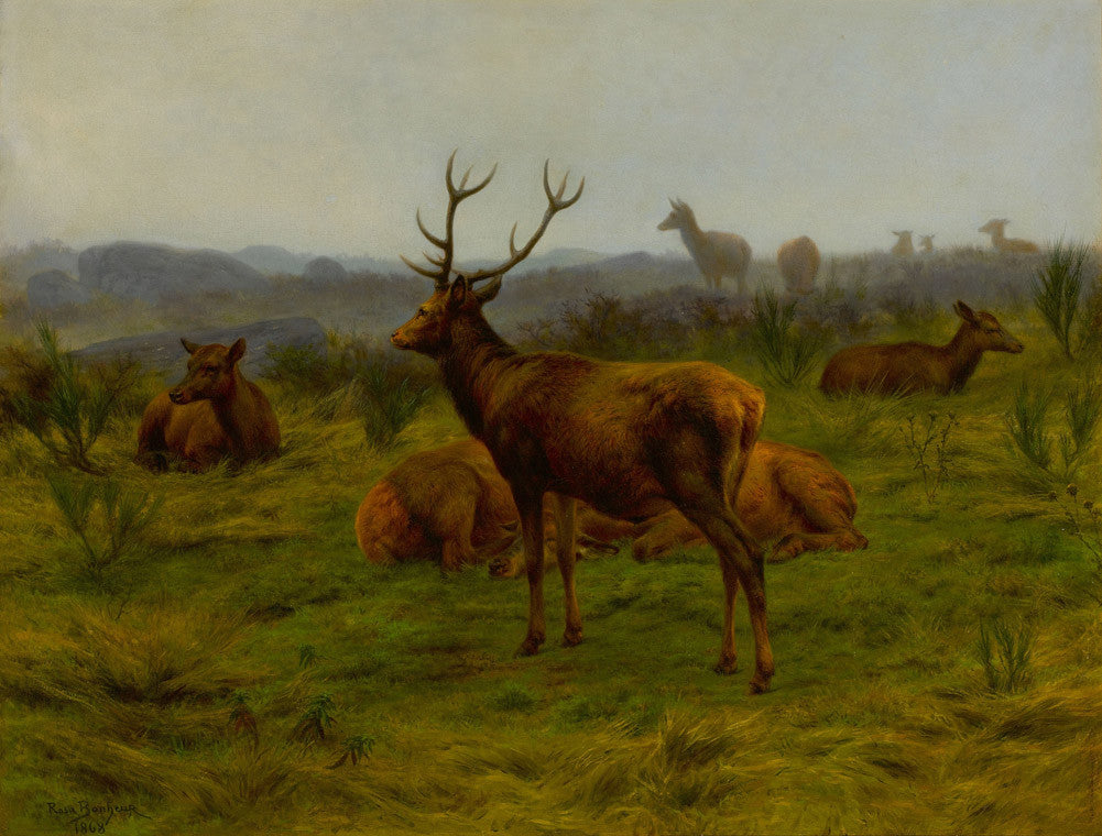 Rosa Bonheur - The Monarch of the Herd-Reproduction-Get Custom Art
