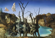 Salvador Dali - Swans Reflecting Elephants