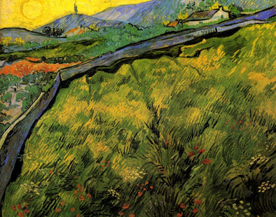 Vincent van Gogh - Field of Spring Wheat at Sunrise