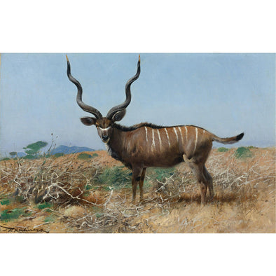 Wilhelm Kuhnert - Antelope