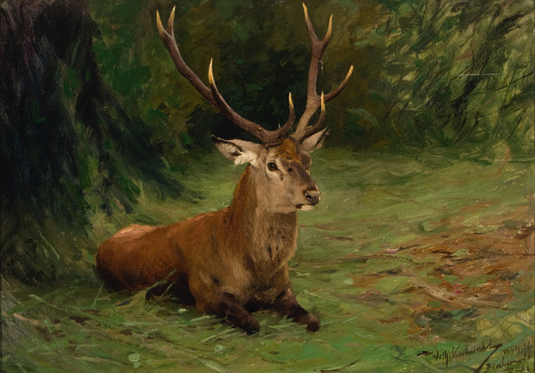 Wilhelm Kuhnert - Resting Deer