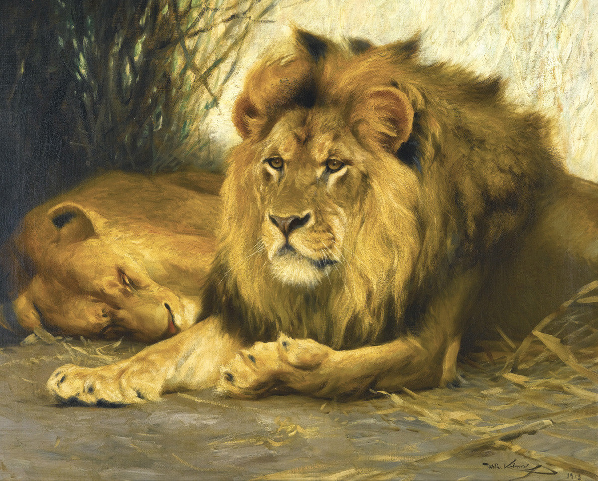 Wilhelm Kuhnert - Resting Lions