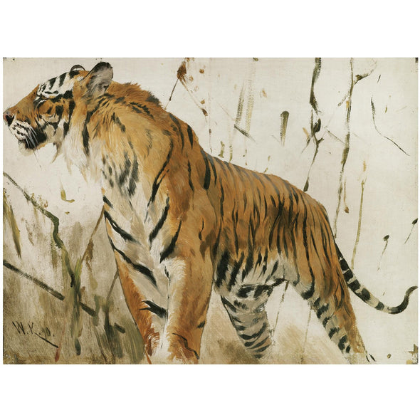 Wilhelm Kuhnert - Study of a tiger