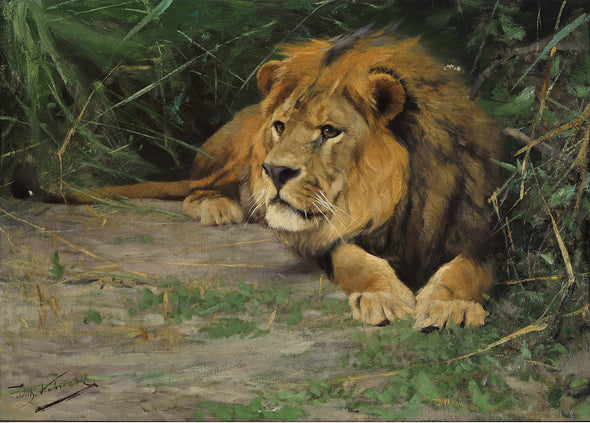 Wilhelm Kuhnert - The Lion